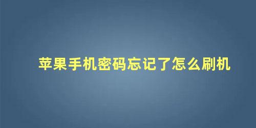 苹果手机密码忘了怎么刷机解锁(苹果手机密码忘记了怎么刷机教程)